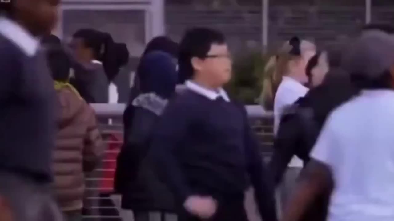 Ever Hear About That Wild Study Where They Raised A Chimp Like A Human Child?