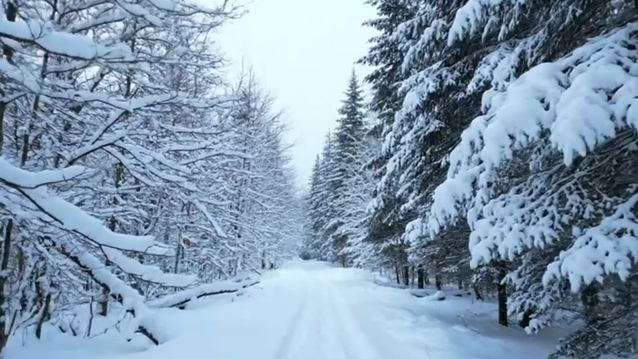 3 Days in Arctic with Bushcraft Hot Tent & No Sleeping Bag