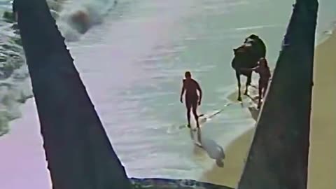 Planet of the Apes Ending in New York