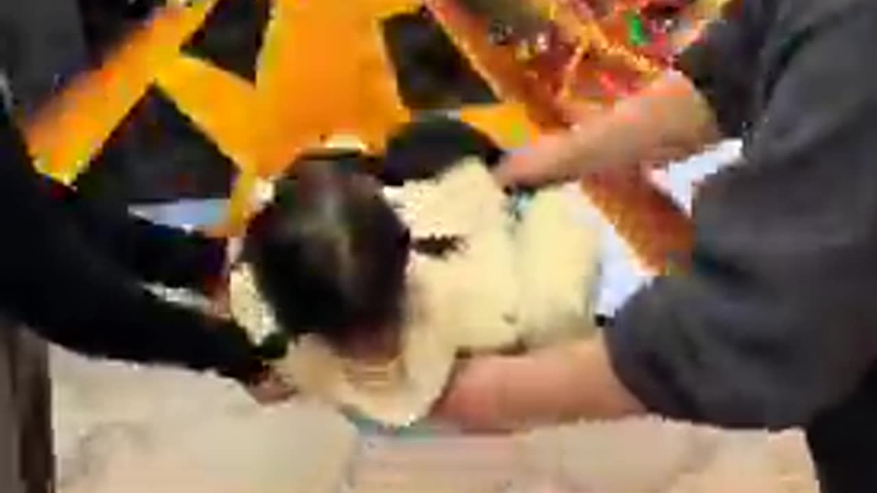 All I can do is smile | funny video | crazy clips