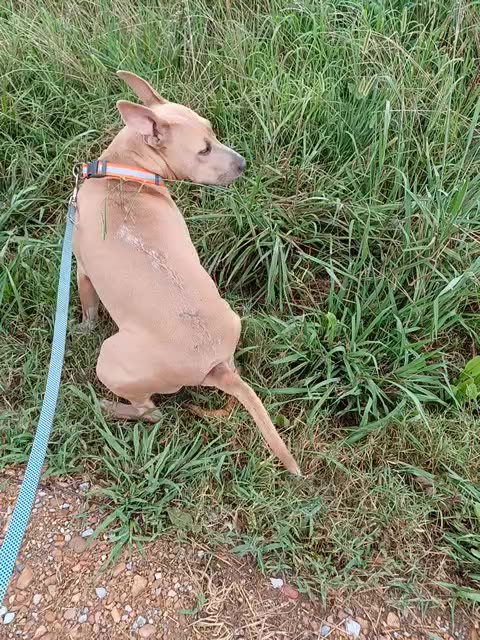 Another Travesty in the South 8-16-2025