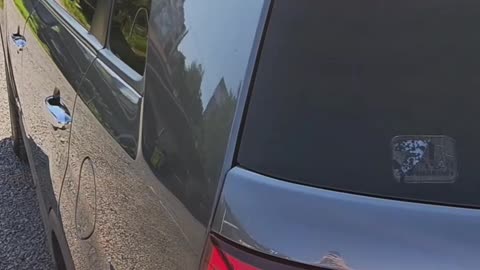 Detailing Kia Sorrento!