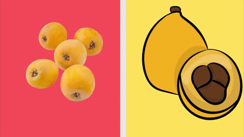 🍑 A for Apricot, B for Banana, C for Cherry | Fruit ABC Learning for Kids