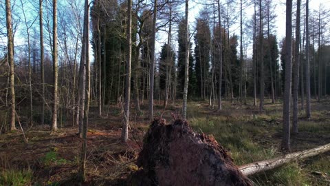 "The only limit to our realization of tomorrow will be our doubts of today."