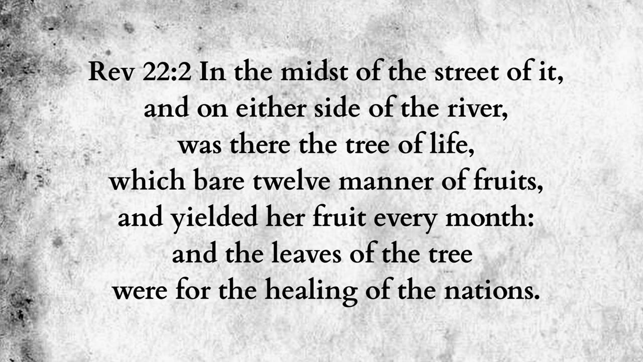 Martus Ministry -286- Genesis endtimes