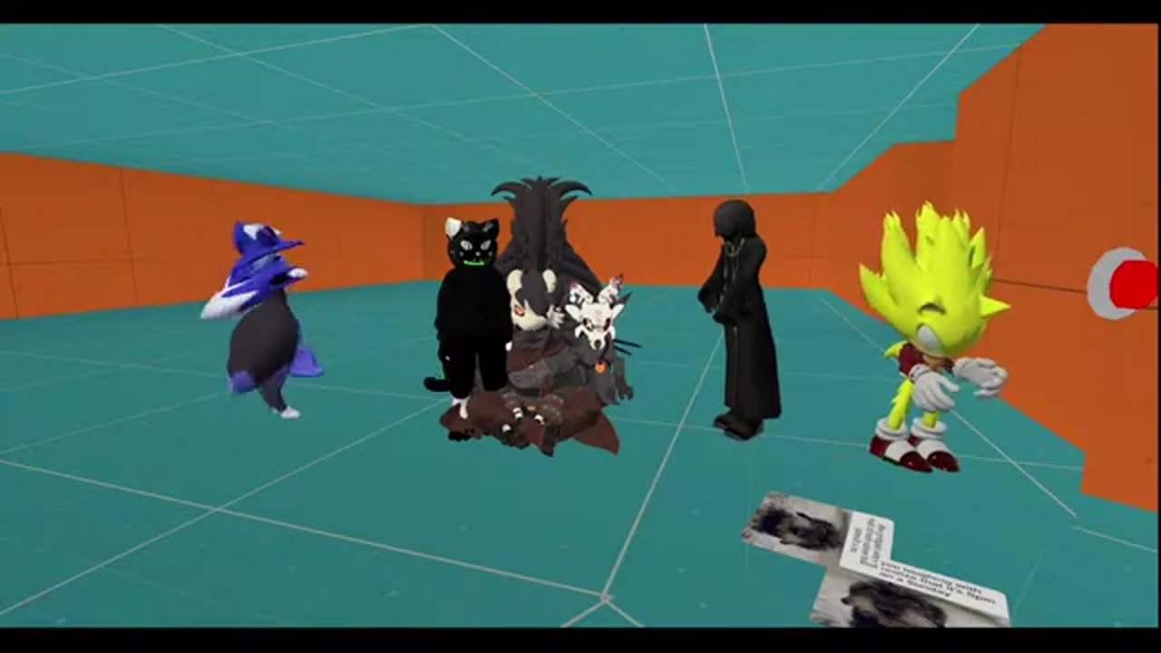 Cat Day ( VRCHAT )