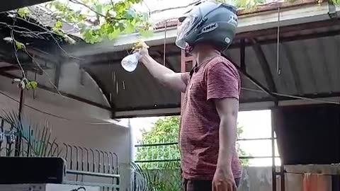 grape vine care