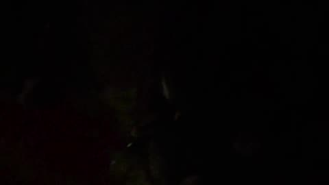 🤫👻 They Thought They Captured a Kid, But Listen Closely... EVP | TheHauntingHour