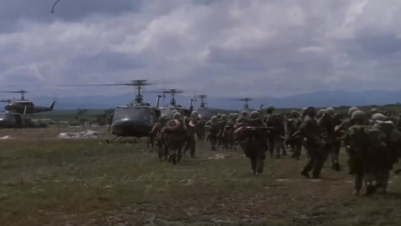 Vietnam White Rabbit