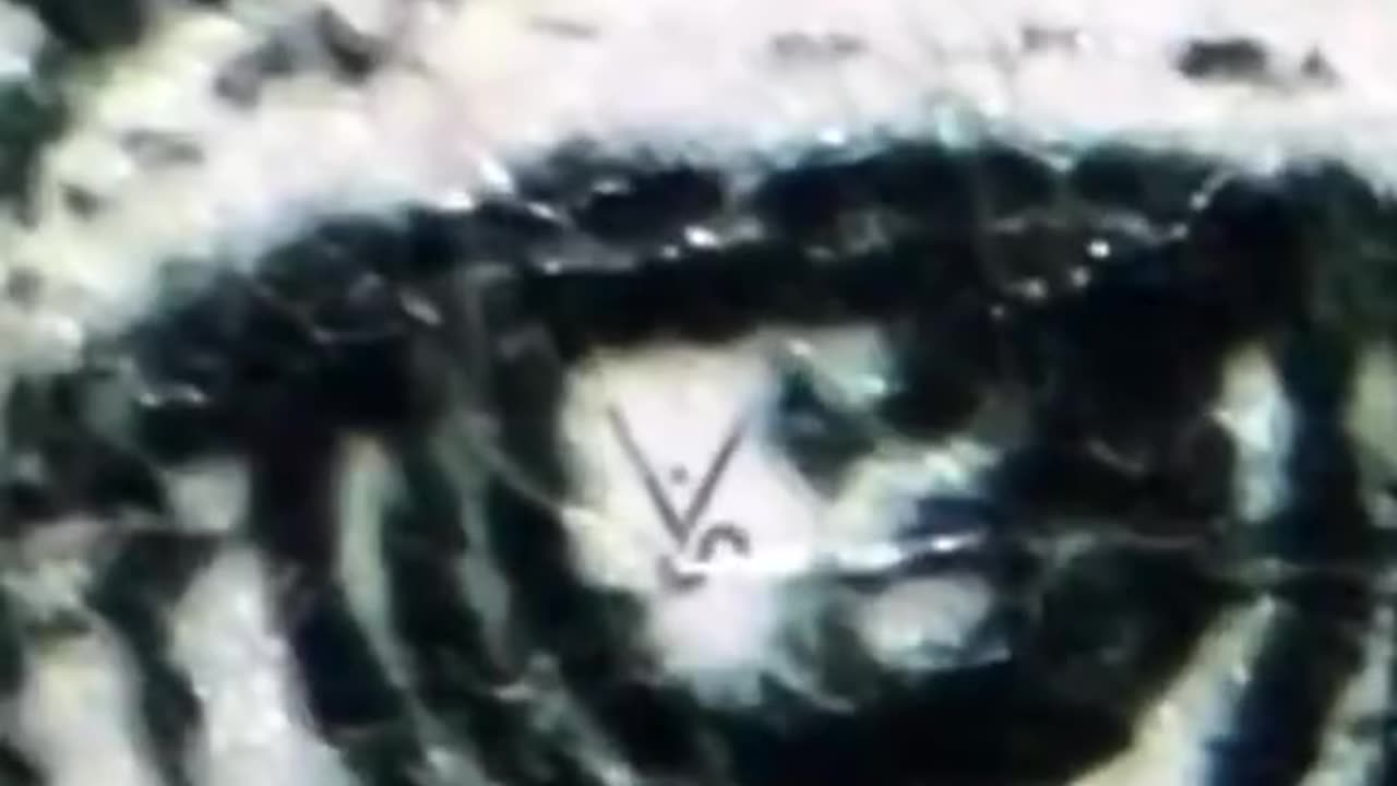 U.S. DOLLARS UNDER A MICROSCOPE