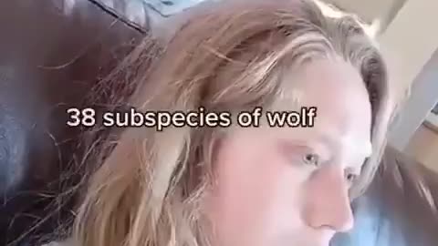 Subspecies