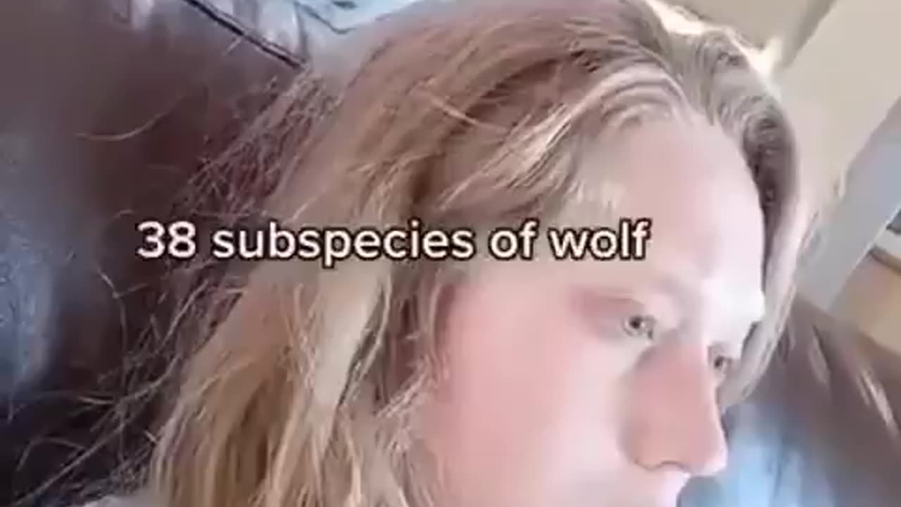 Subspecies