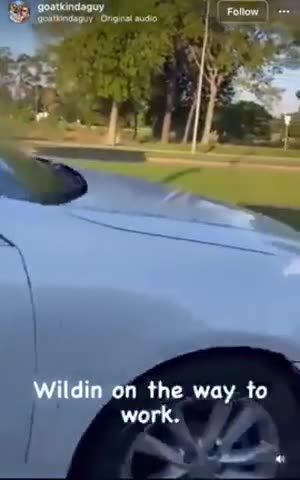 Negro sheboon road rage