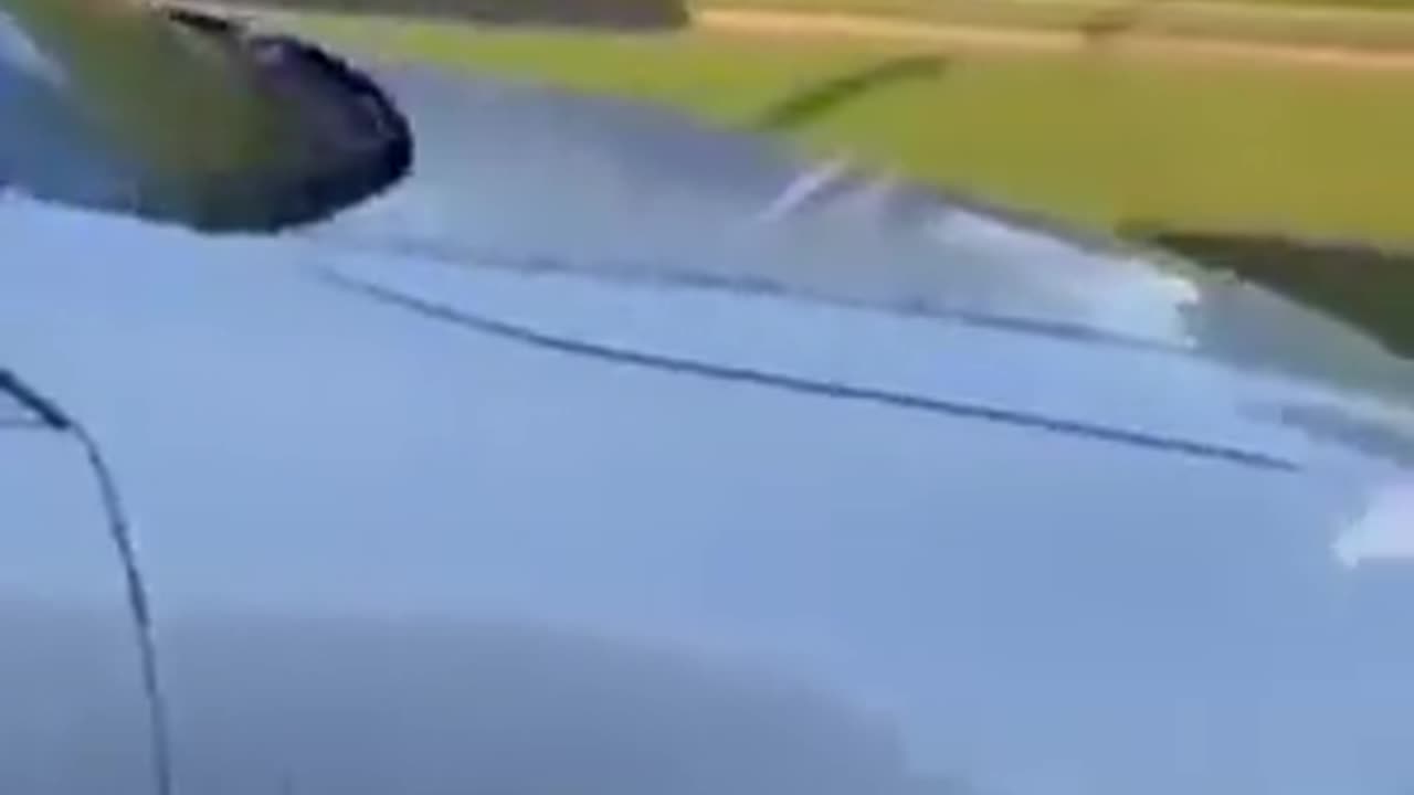 Negro sheboon road rage