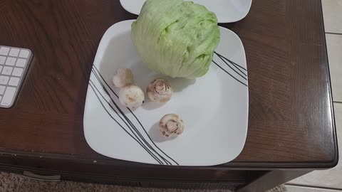 MEAL OF THE DAY