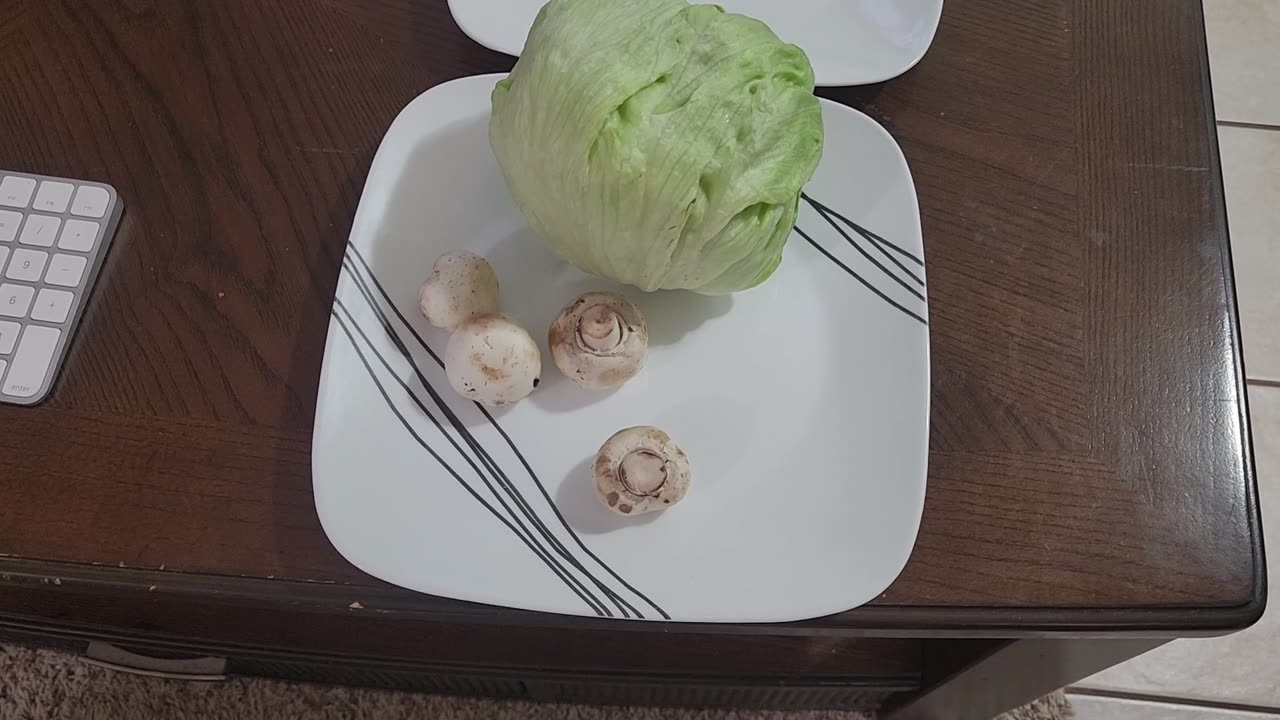 MEAL OF THE DAY