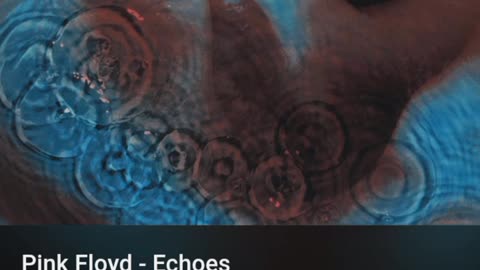 Pink Floyd - Echoes (Legendado/Tradução)