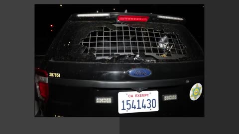 L.A. County Sheriffs Shoot Crazed Woman With a Wrench