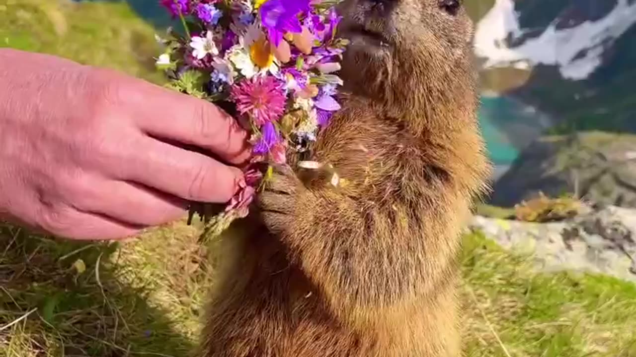 How to make friends