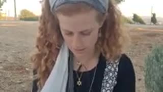 Update From Israel (September 7, 2024)