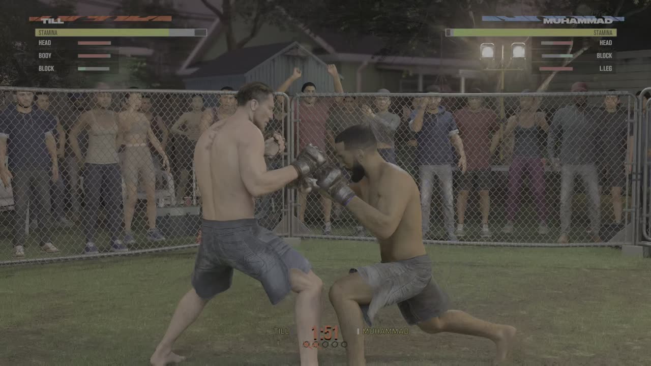 My First victory in hardest mode. UFC