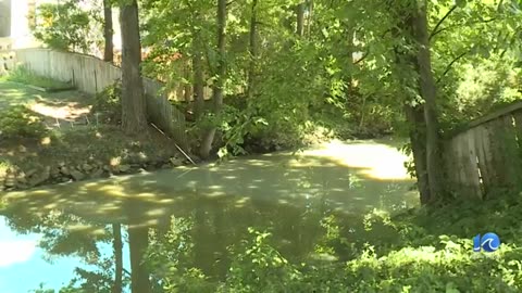 Foul stench in Virginia Beach neighborhood prompts investigation