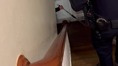 Police Evict Raccoon from Home