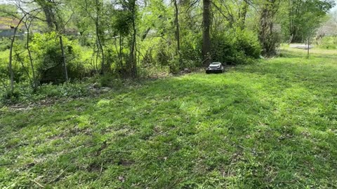 I Came Back 1 YEAR AFTER I MOWED This LAWN FOR FREE and This is WHAT I FOUND_part6