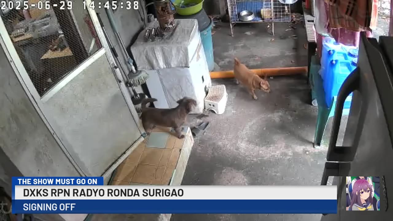 Mitsubishi Xpander 2019 Live