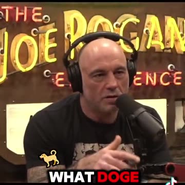 Joe Rogan Says 'Protests' Against Elon Musk Are Organized by Those Who Stand to Lose
