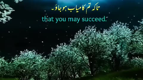 Soothing Quran Tilawat | Urdu Translation | Peaceful Recitation 🌙📖