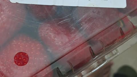 Promoting packed strawberry