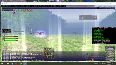 Playing Final Fantasy XI Online