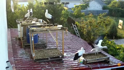 Learning to fly on the roof of the garage 👍👍👍