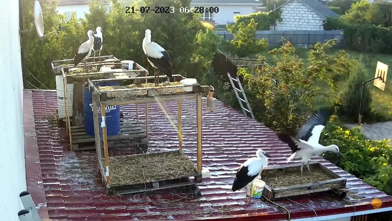 Learning to fly on the roof of the garage 👍👍👍