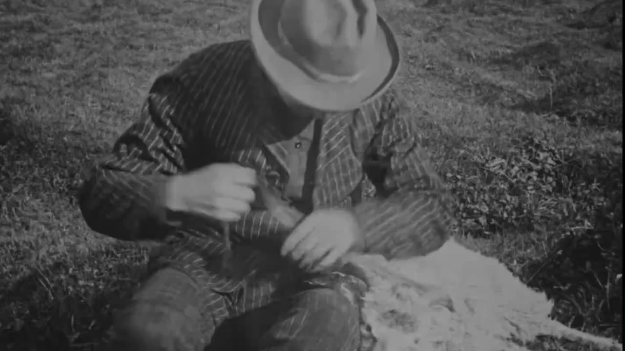 BORGSLÆGTENS HISTORIE (Nordisk-1920) "Sons of the Soil" NEW English subtitles.