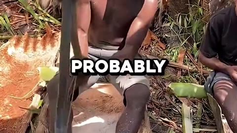 The Wood You've Been Eating Without Knowing 🤯