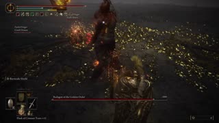 Elden Ring NG+1 | Radagon of the Golden Order & Elden Beast w/2 cooperators #eldenring #eldenbeast