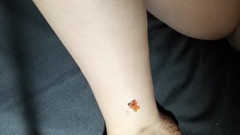 funny dog temporary tattoo sticker magic art design