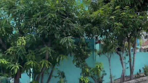 Eddy Rodriguez Condos for Sale | Bitcoin Guaranteed Financing