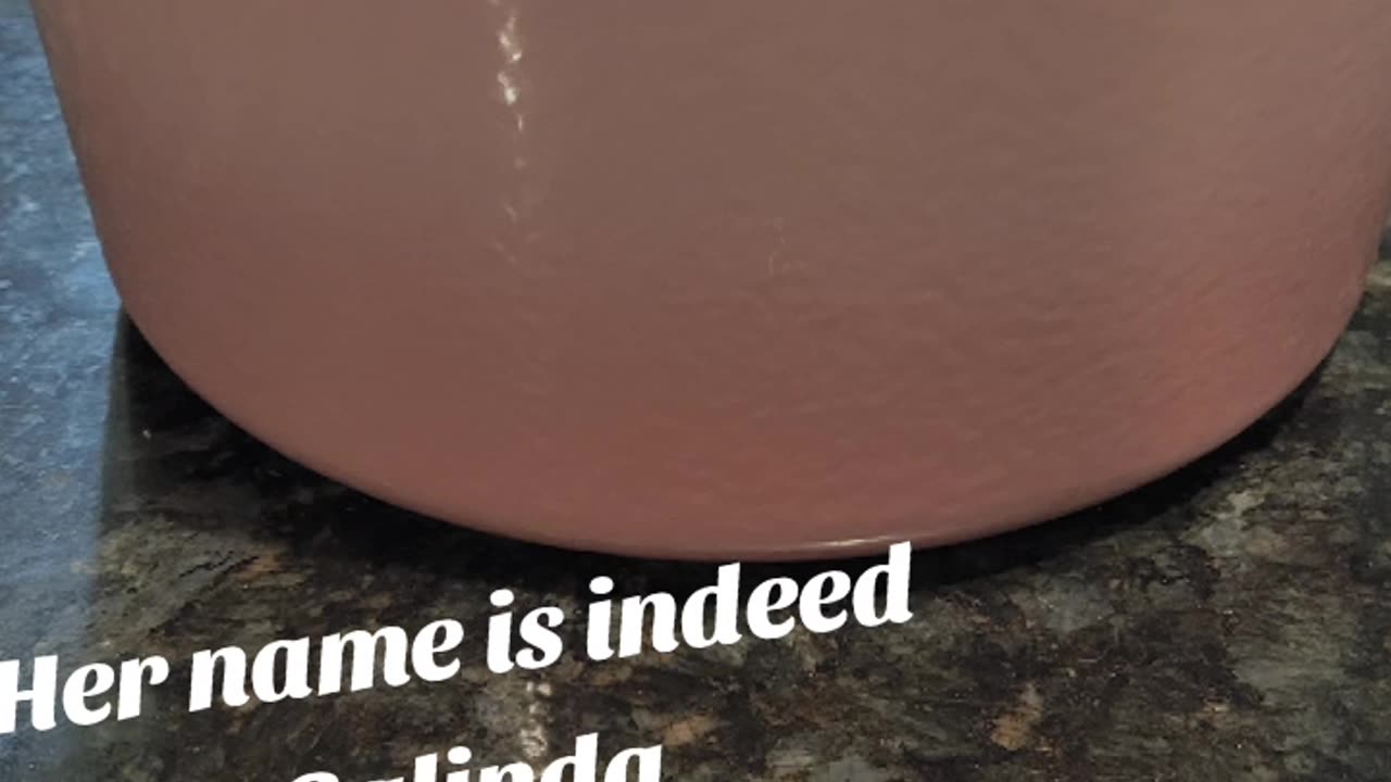 Her name is indeed GaLinda