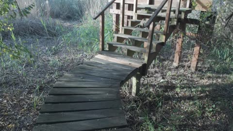 Trekking and Birdwatching in Lagoa 22th Nov 2025 pt 9