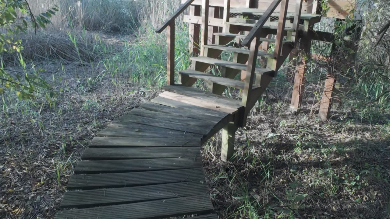 Trekking and Birdwatching in Lagoa 22th Nov 2025 pt 9