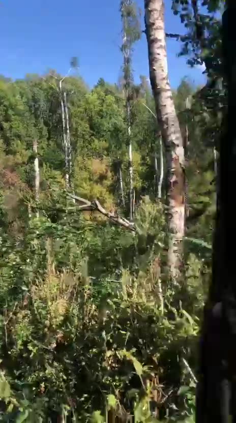 Dead crest from a Subscriber in the Sumy region