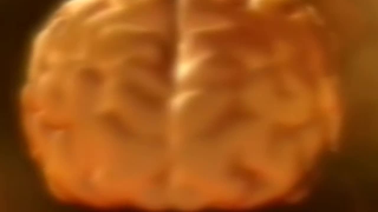 İNSAN BEYNİNİN SIRLARI