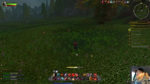 World of Warcraft