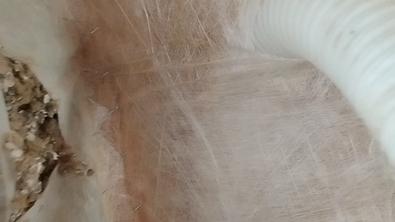 Insulation 3