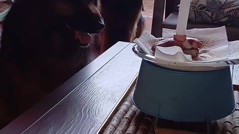Super Milo's 3rd Birthday.