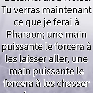 "Dieu Révèle Sa Puissance pour Délivrer Israël" Exode 6:1#shorts #youtubeshorts #jesus #ytshorts #yt