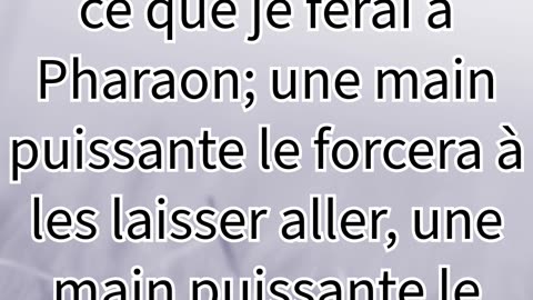 "Dieu Révèle Sa Puissance pour Délivrer Israël" Exode 6:1#shorts #youtubeshorts #jesus #ytshorts #yt